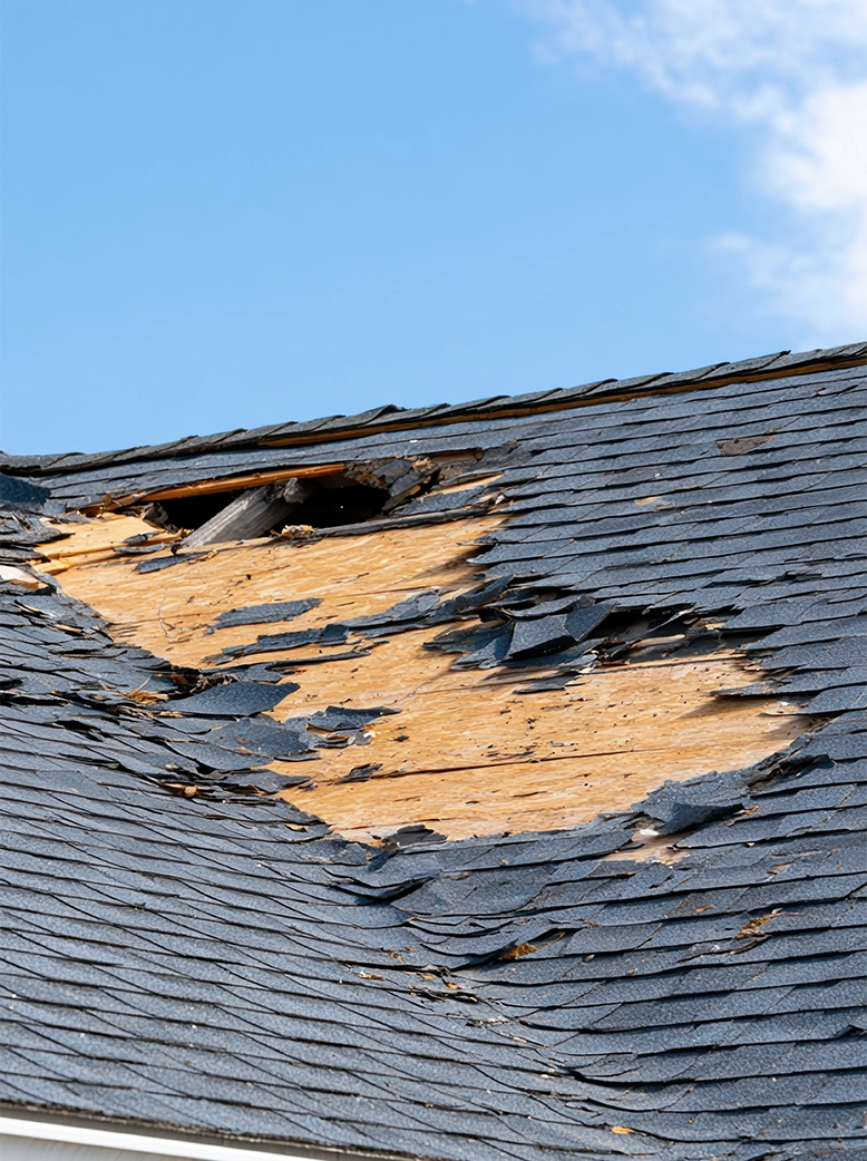 Storm damage can compromise your roof long before leaks become visible inside your home. Our team provides comprehensive storm damage inspections, emergency repairs, and full roof restoration services to address missing shingles, exposed decking, wind damage, hail impacts, and structural concerns. We work quickly to protect your property, prevent further deterioration, and restore your roof's strength, appearance, and long-term performance.
